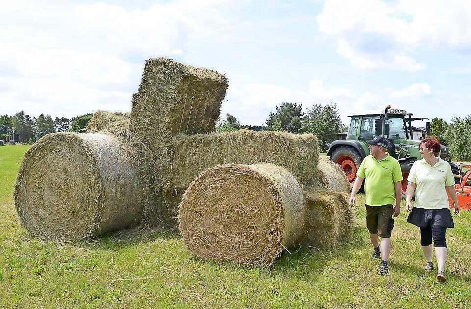 Fotogalerien vom Landwirtschaftsbetrieb Domin - Domin's Hof - in Peickwitz bei Senftenberg