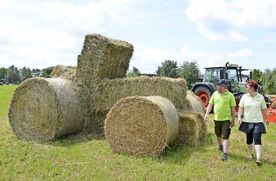 Fotogalerien vom Landwirtschaftsbetrieb Domin - Domin's Hof - in Peickwitz bei Senftenberg