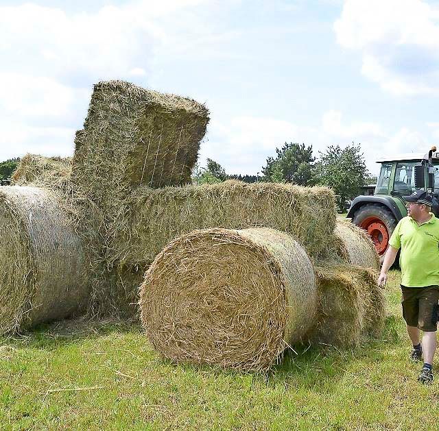 Fotogalerien vom Landwirtschaftsbetrieb Domin - Domin's Hof - in Peickwitz bei Senftenberg