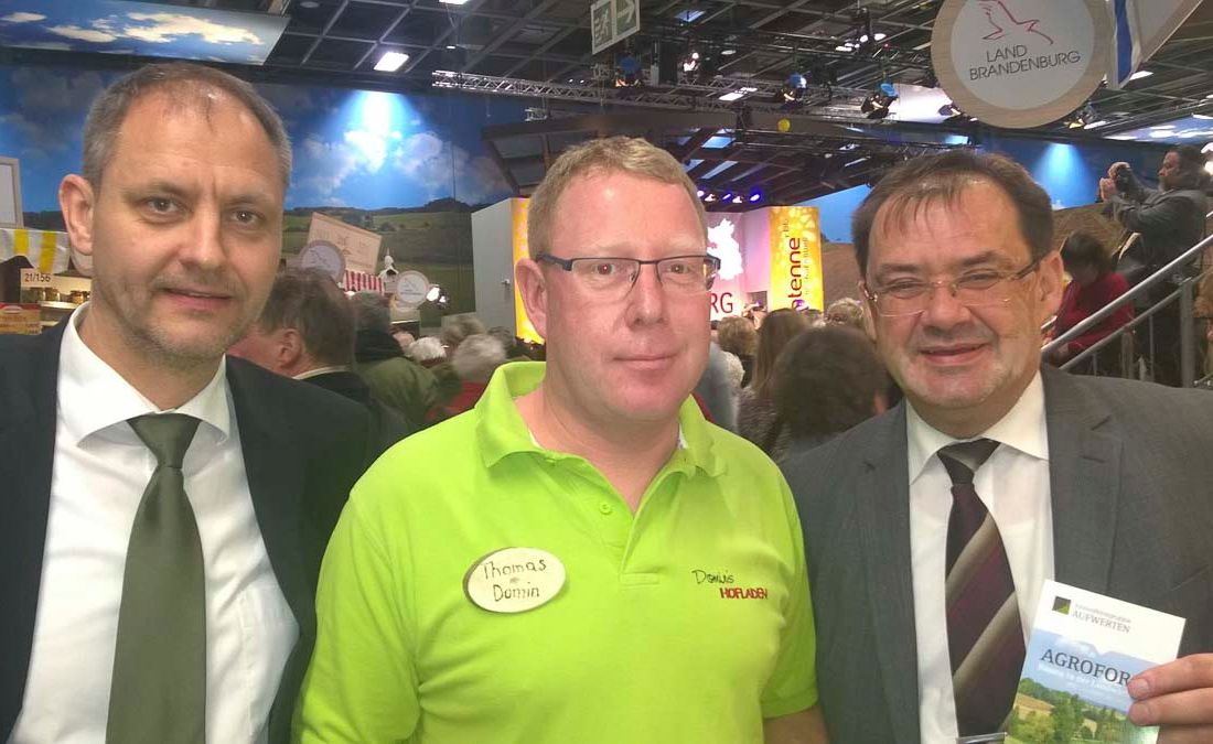 Agroforst vom Landwirtschaftsbetrieb Domin - Domin's Hof - in Peickwitz bei Senftenberg