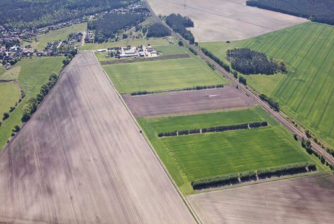Agroforst vom Landwirtschaftsbetrieb Domin - Domin's Hof - in Peickwitz bei Senftenberg