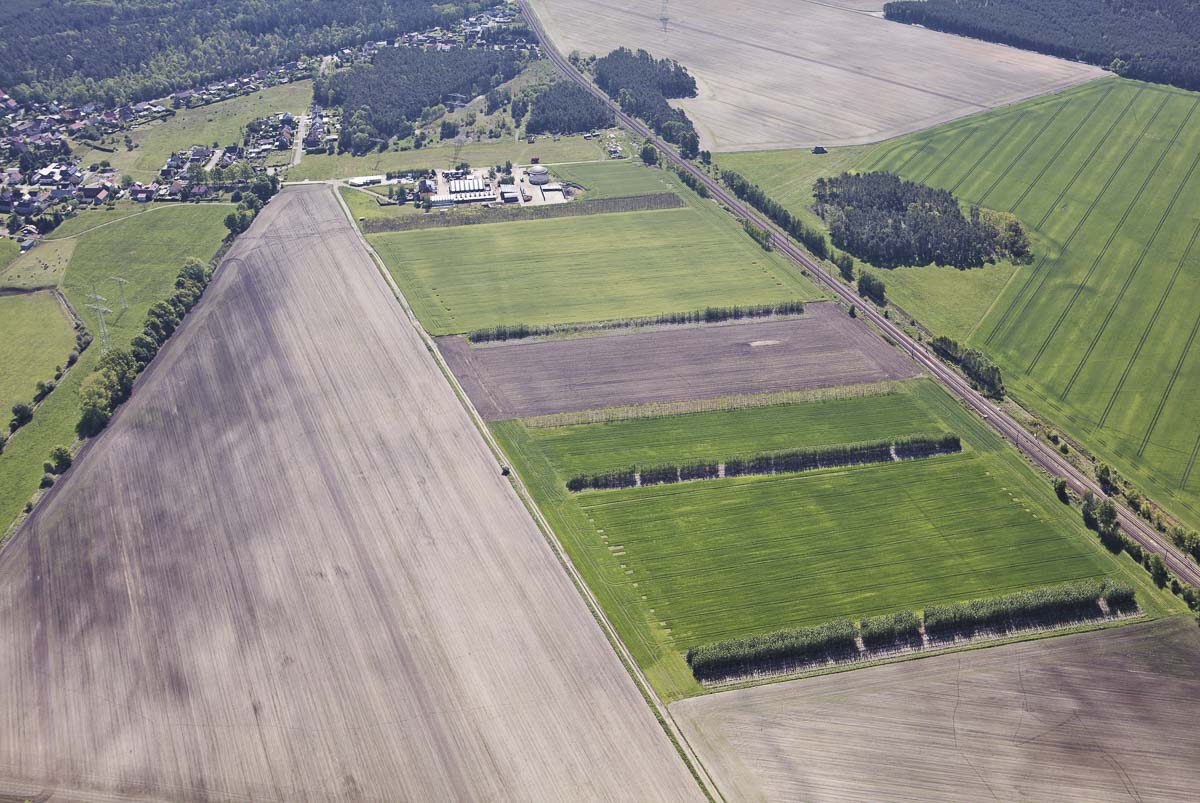 Agroforst vom Landwirtschaftsbetrieb Domin - Domin's Hof - in Peickwitz bei Senftenberg
