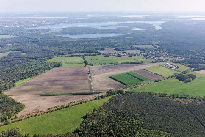 Agroforst vom Landwirtschaftsbetrieb Domin - Domin's Hof - in Peickwitz bei Senftenberg