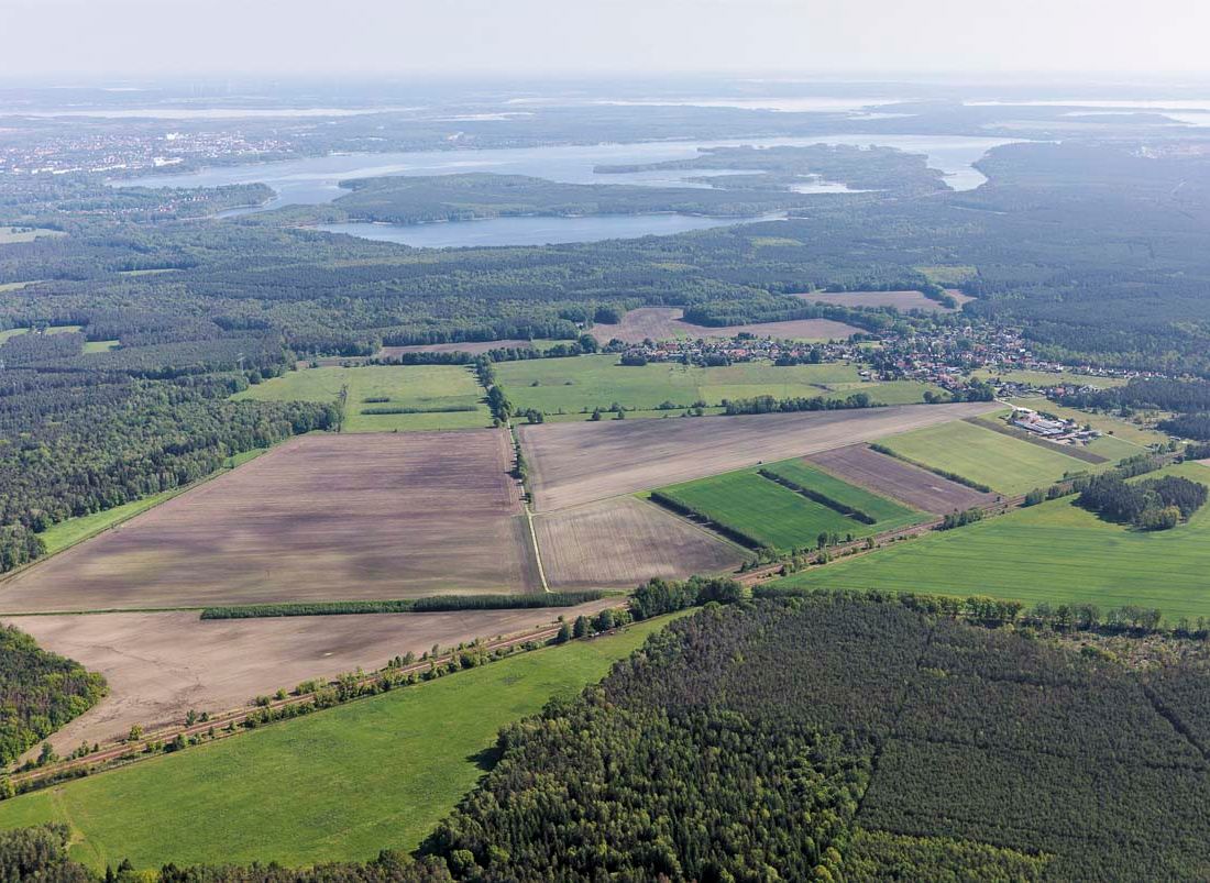 Agroforst vom Landwirtschaftsbetrieb Domin - Domin's Hof - in Peickwitz bei Senftenberg