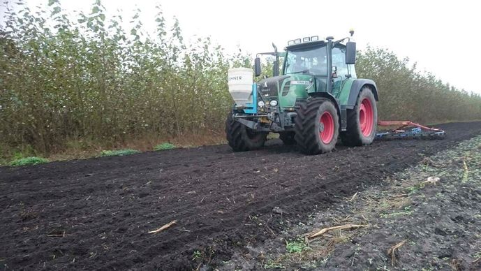 Agroforst vom Landwirtschaftsbetrieb Domin - Domin's Hof - in Peickwitz bei Senftenberg