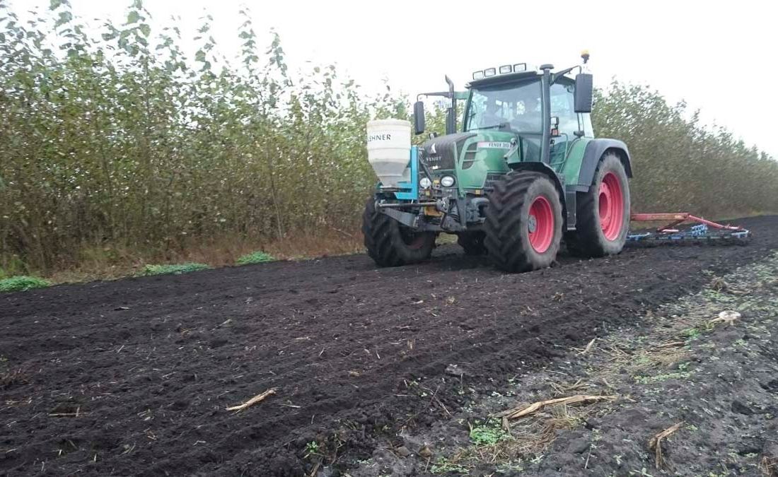 Agroforst vom Landwirtschaftsbetrieb Domin - Domin's Hof - in Peickwitz bei Senftenberg