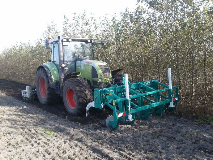 Agroforst vom Landwirtschaftsbetrieb Domin - Domin's Hof - in Peickwitz bei Senftenberg