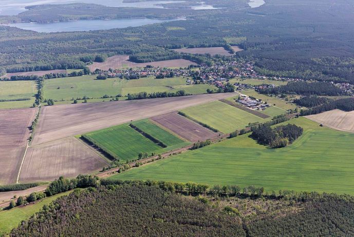 Agroforst vom Landwirtschaftsbetrieb Domin - Domin's Hof - in Peickwitz bei Senftenberg