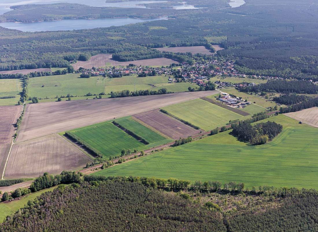 Agroforst vom Landwirtschaftsbetrieb Domin - Domin's Hof - in Peickwitz bei Senftenberg