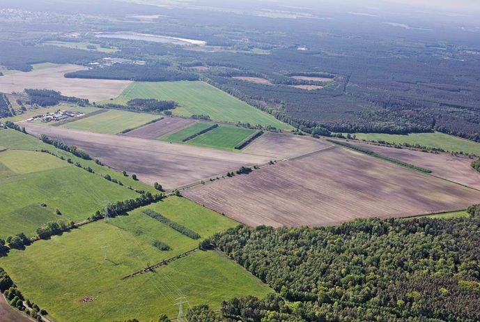 Agroforst vom Landwirtschaftsbetrieb Domin - Domin's Hof - in Peickwitz bei Senftenberg