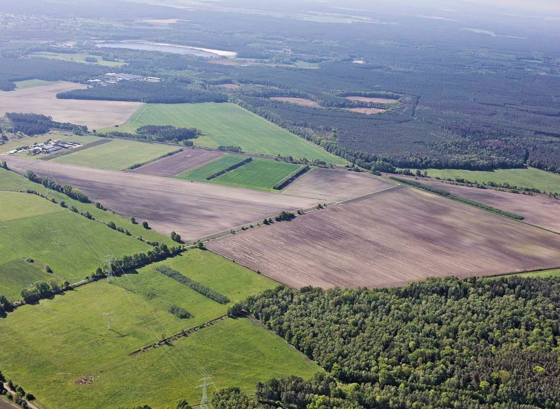 Agroforst vom Landwirtschaftsbetrieb Domin - Domin's Hof - in Peickwitz bei Senftenberg