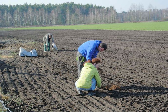 Agroforst vom Landwirtschaftsbetrieb Domin - Domin's Hof - in Peickwitz bei Senftenberg