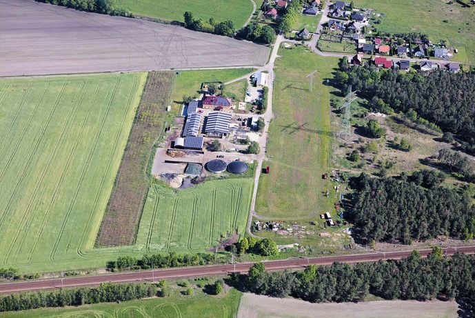 Agroforst vom Landwirtschaftsbetrieb Domin - Domin's Hof - in Peickwitz bei Senftenberg