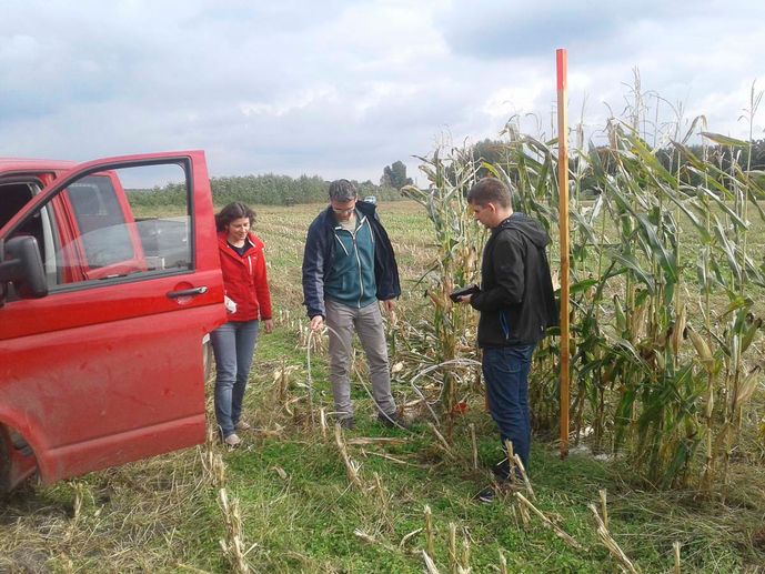 Agroforst vom Landwirtschaftsbetrieb Domin - Domin's Hof - in Peickwitz bei Senftenberg