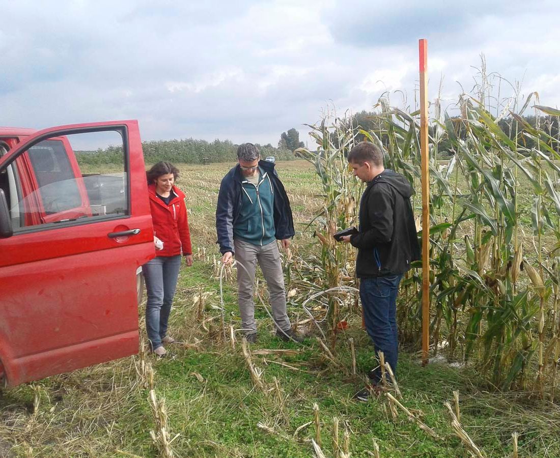 Agroforst vom Landwirtschaftsbetrieb Domin - Domin's Hof - in Peickwitz bei Senftenberg