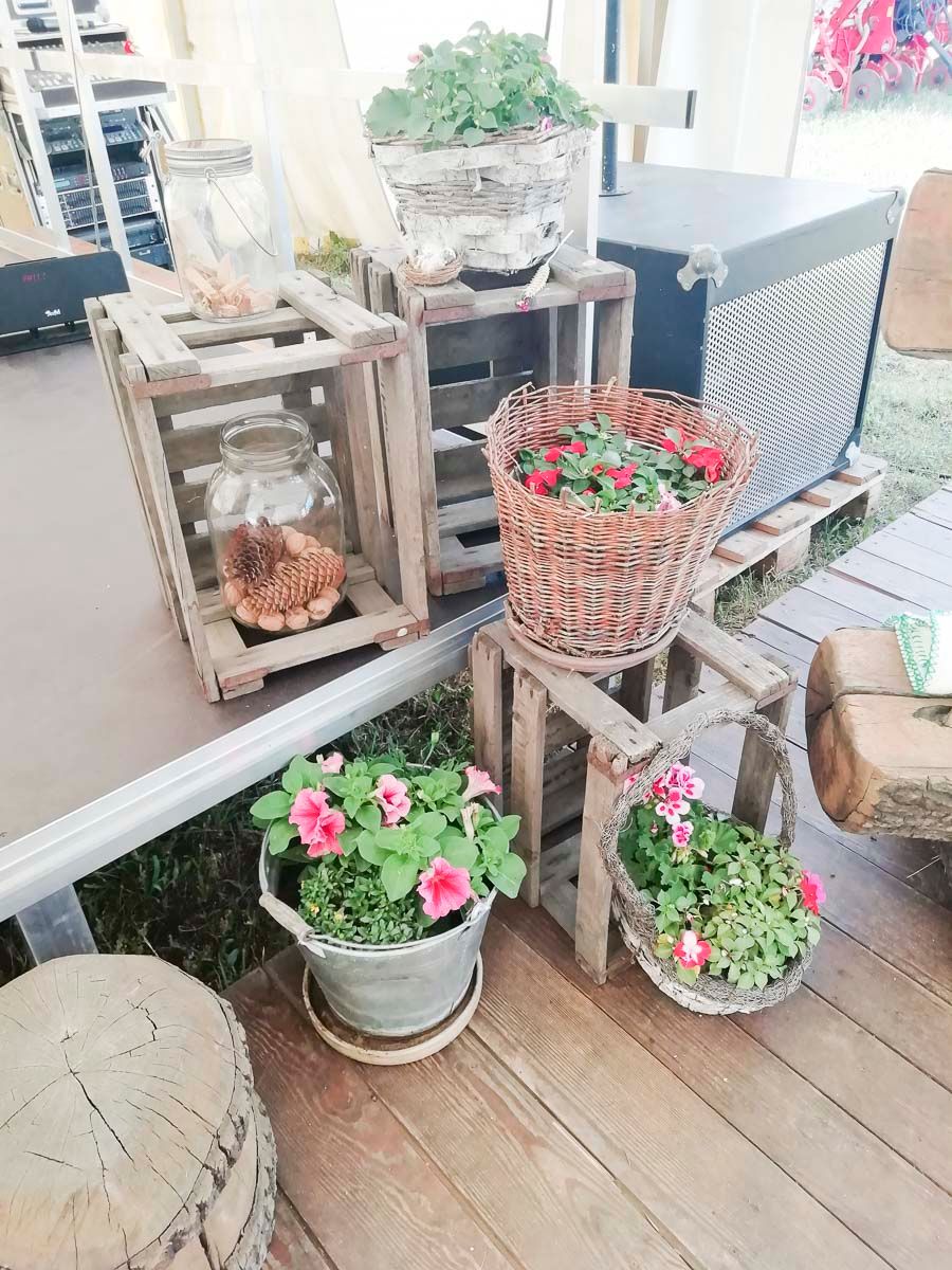Fotogalerien vom Landwirtschaftsbetrieb Domin - Domin's Hof - in Peickwitz bei Senftenberg