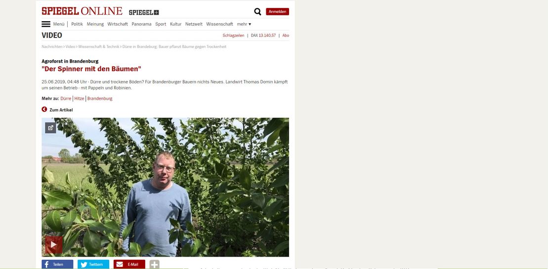Aktuelles vom Landwirtschaftsbetrieb Domin - Domin's Hof - in Peickwitz bei Senftenberg