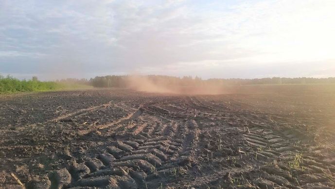 Agroforst vom Landwirtschaftsbetrieb Domin - Domin's Hof - in Peickwitz bei Senftenberg