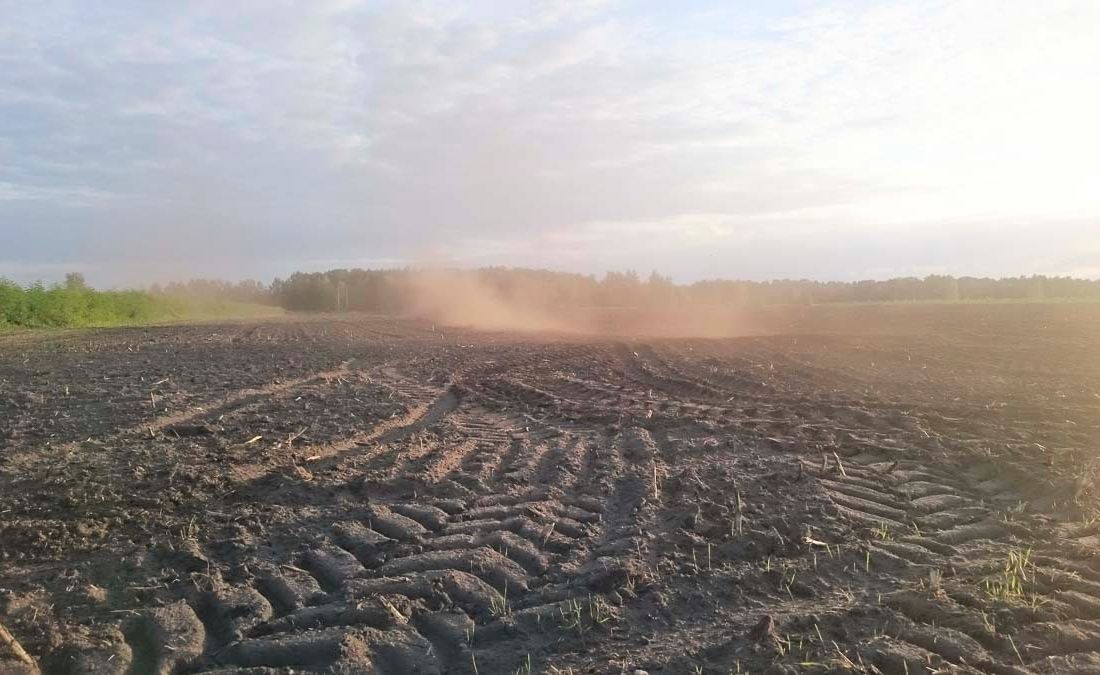 Agroforst vom Landwirtschaftsbetrieb Domin - Domin's Hof - in Peickwitz bei Senftenberg