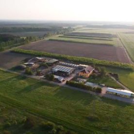 Ansicht vom Landwirtschaftsbetrieb Domin - Domin's Hof - in Peickwitz bei Senftenberg