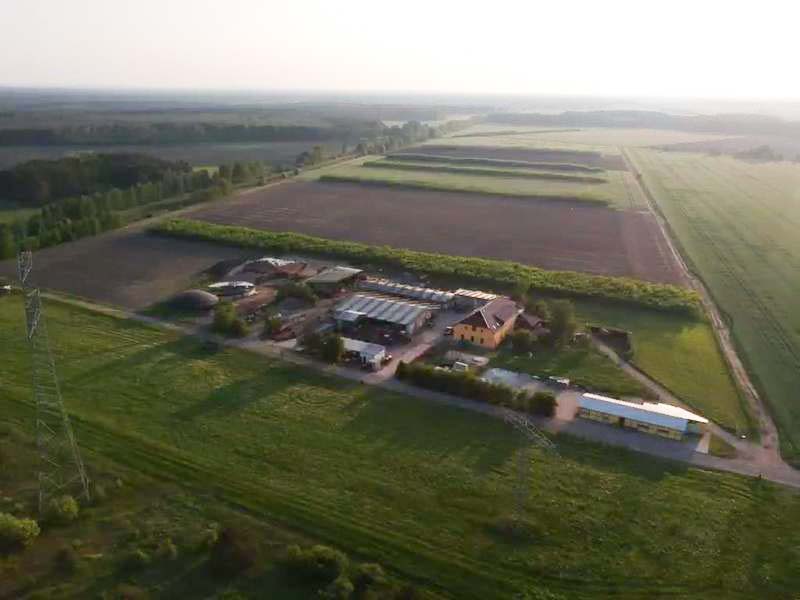 Ansicht vom Landwirtschaftsbetrieb Domin - Domin's Hof - in Peickwitz bei Senftenberg