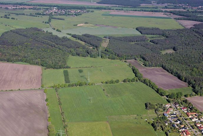 Agroforst vom Landwirtschaftsbetrieb Domin - Domin's Hof - in Peickwitz bei Senftenberg
