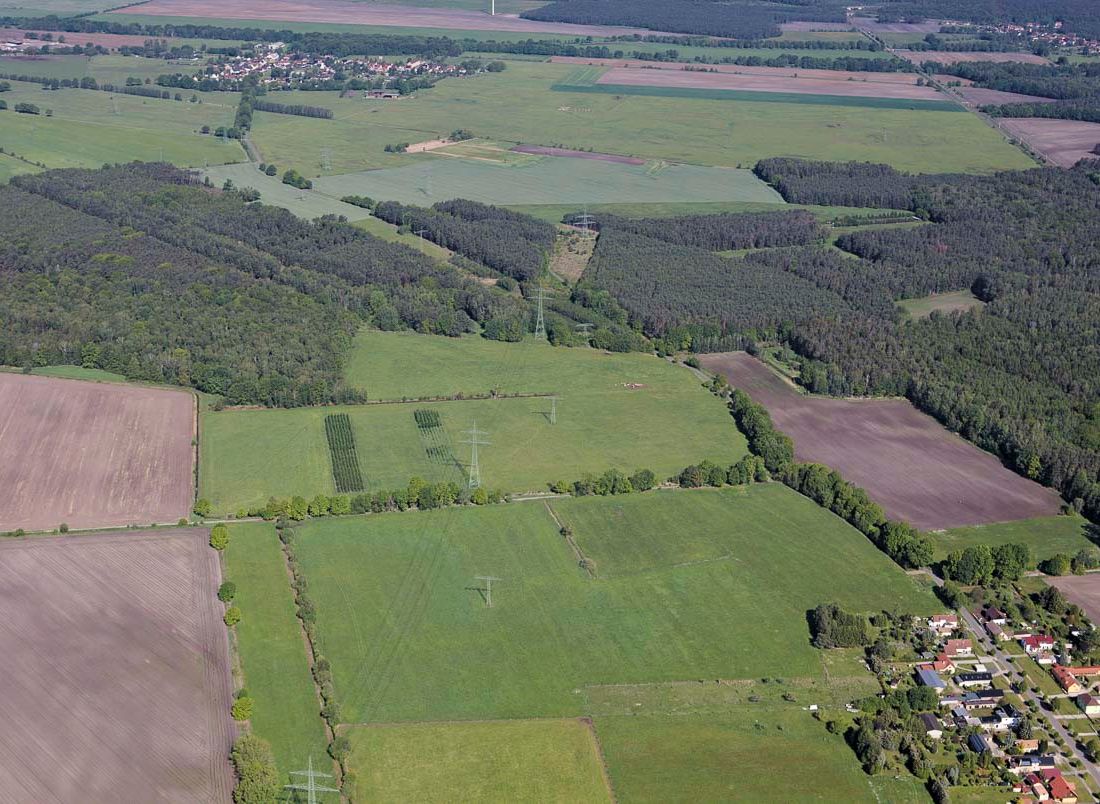 Agroforst vom Landwirtschaftsbetrieb Domin - Domin's Hof - in Peickwitz bei Senftenberg